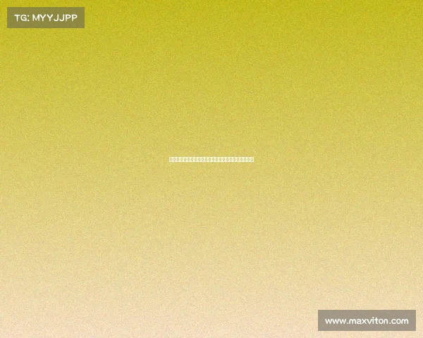 法甲球员数据分析与排名揭示赛季表现亮点与发展趋势